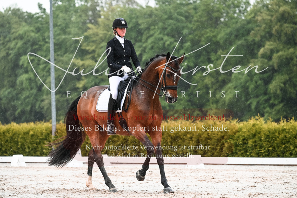 DSC_4595 | Pferde- und Turnierfotografie in Westsachsen. Pferdeportraits, Auftragszeichnungen und intuitive Kunst.