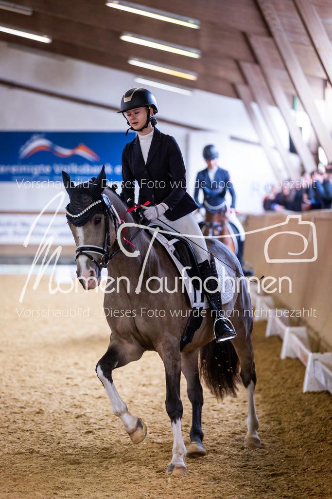 Sth-A-Dre-2St-244 | MomenTaufnahmen Pferdesportfotos