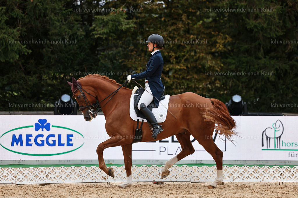 12-089-DRESSUR  S___  -StoibPH-5359 | working equitationturnier fotograf videograf stoibphotography marixx film working equitation deutschland reitsport turnierfotografie eventfotografie equestrian events