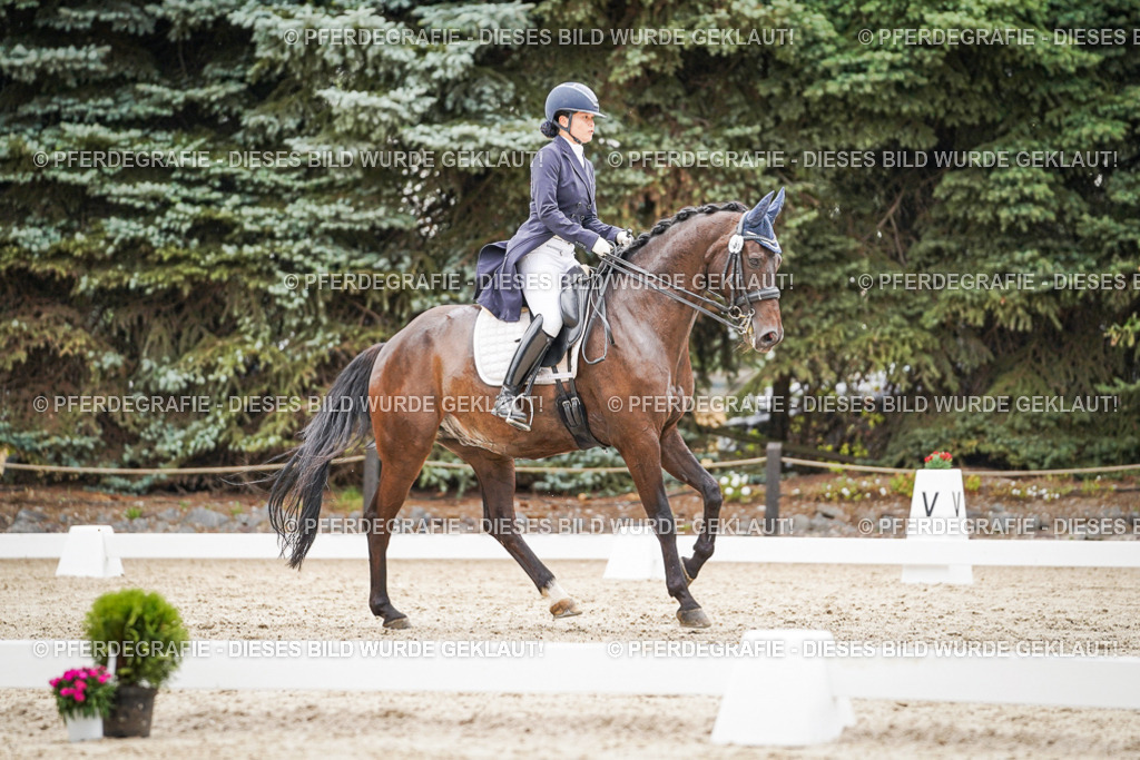 DSC07609 | Pferdegrafie