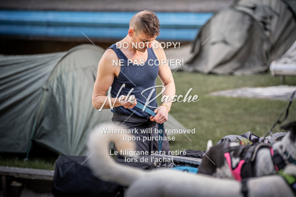 6Z1A1722 | nelerasche