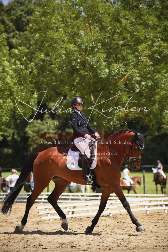 DSC_1318 | Pferde- und Turnierfotografie in Westsachsen. Pferdeportraits, Auftragszeichnungen und intuitive Kunst.