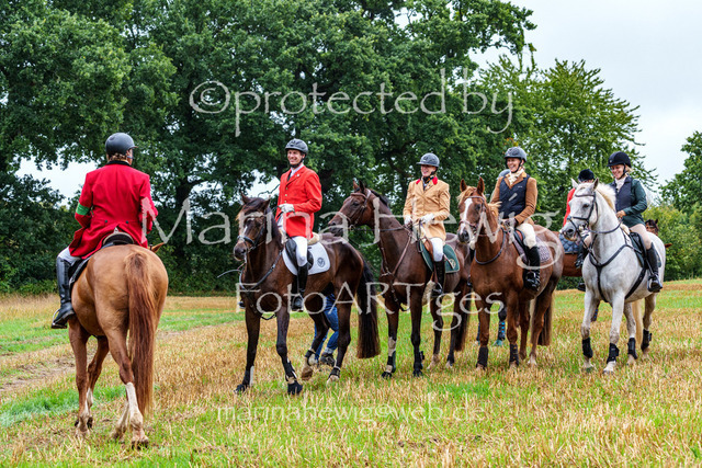 Jagd Kletkamp 26-02927_MarinaHewig | Fotografie, FotoArt, PferdesportArt, Pferdesportfotografie, Landschaftsfotografie, Reisefotografie, Reise, Pferde - Realisiert mit Pictrs.com