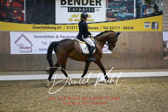 IMG_3024 | Turnierfotos kaufen im Webshop von Daniel Kuhl Photography – entdecke professionelle Reitsportfotos aus Turnieren & Events. Hochwertige Turnierbilder online bestellen & sichern. Jetzt Fotos von Reitsportturnieren kaufen!
