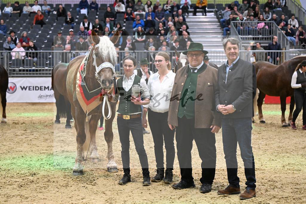 Kat-Nr. 40 Havana H v. Venturin_Huber_1260736 | hf-fotografie - Realisiert mit Pictrs.com