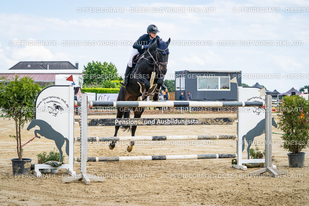 DSC06850 | Pferdegrafie