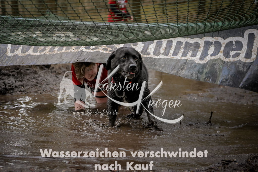 1010_ZZ99991 | kk-dogfotos
