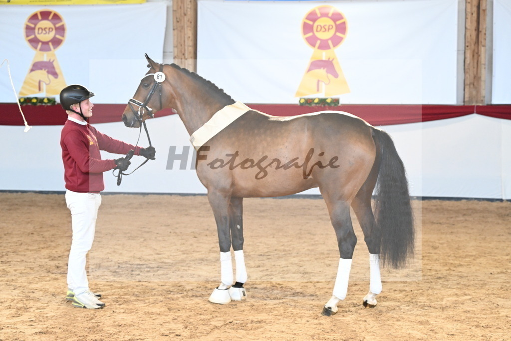 Kat.-Nr. 81 v. Vivino_Freisel_2242914 | hf-fotografie - Realisiert mit Pictrs.com