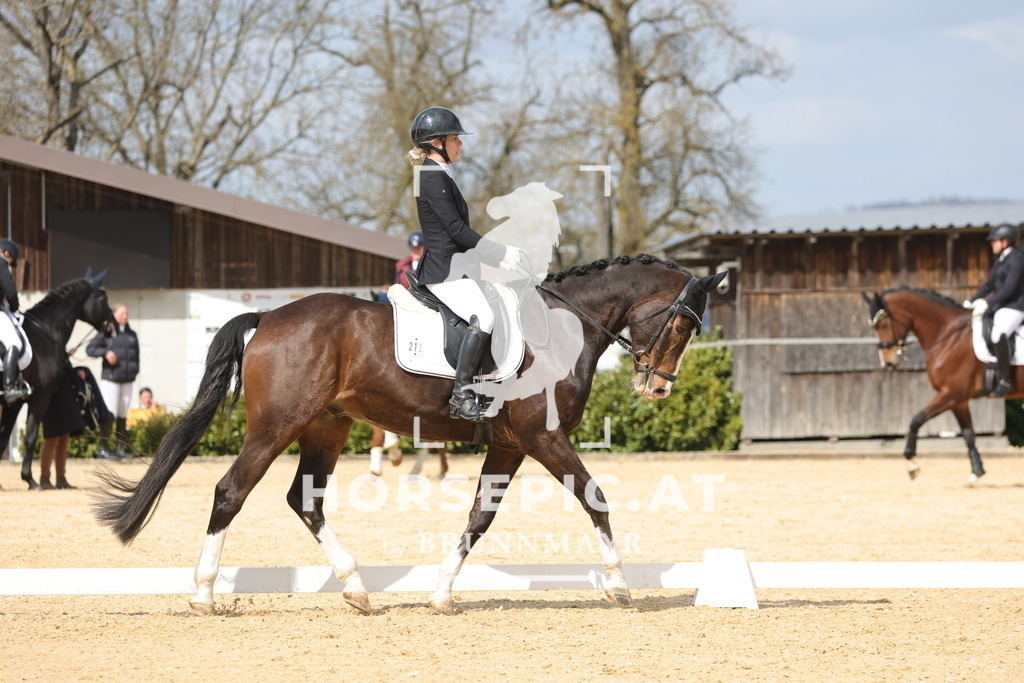 0P6A6815 | Willkommen bei Brunnmayr - Design & Fotografie – Ihrem Spezialisten für Reitturniere und Pferdeveranstaltungen in Oberösterreich, Salzburg und Bayern! Seit über 17 Jahren sind wir leidenschaftlich dabei.