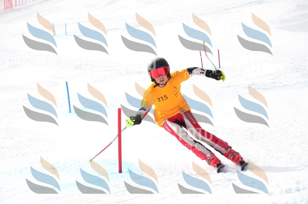 C8202 | holidayphoto