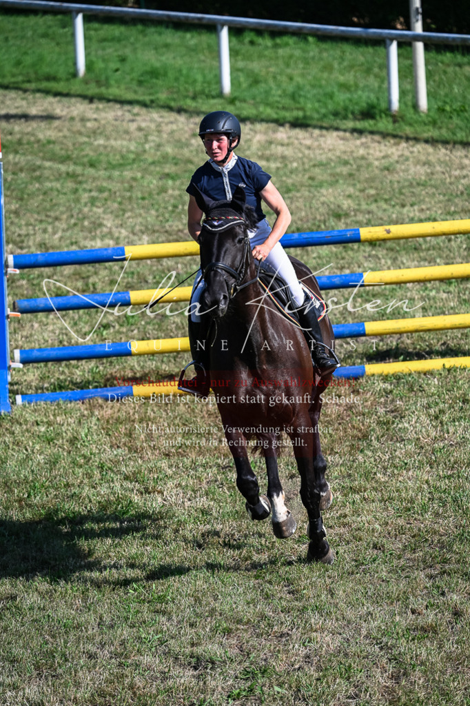 DSC_2535 | Pferde- und Turnierfotografie in Westsachsen. Pferdeportraits, Auftragszeichnungen und intuitive Kunst.