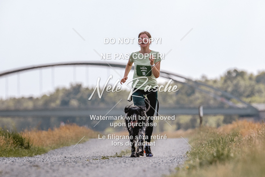 BUHU_CC_114 | nelerasche
