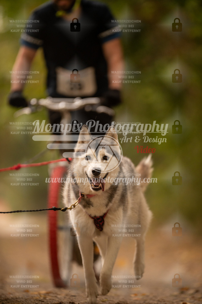 CDLBDB_14_10_2023_Samedi-59 | PayLife