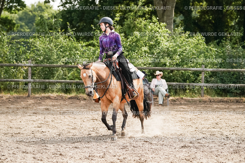 DSC04919 | Pferdegrafie