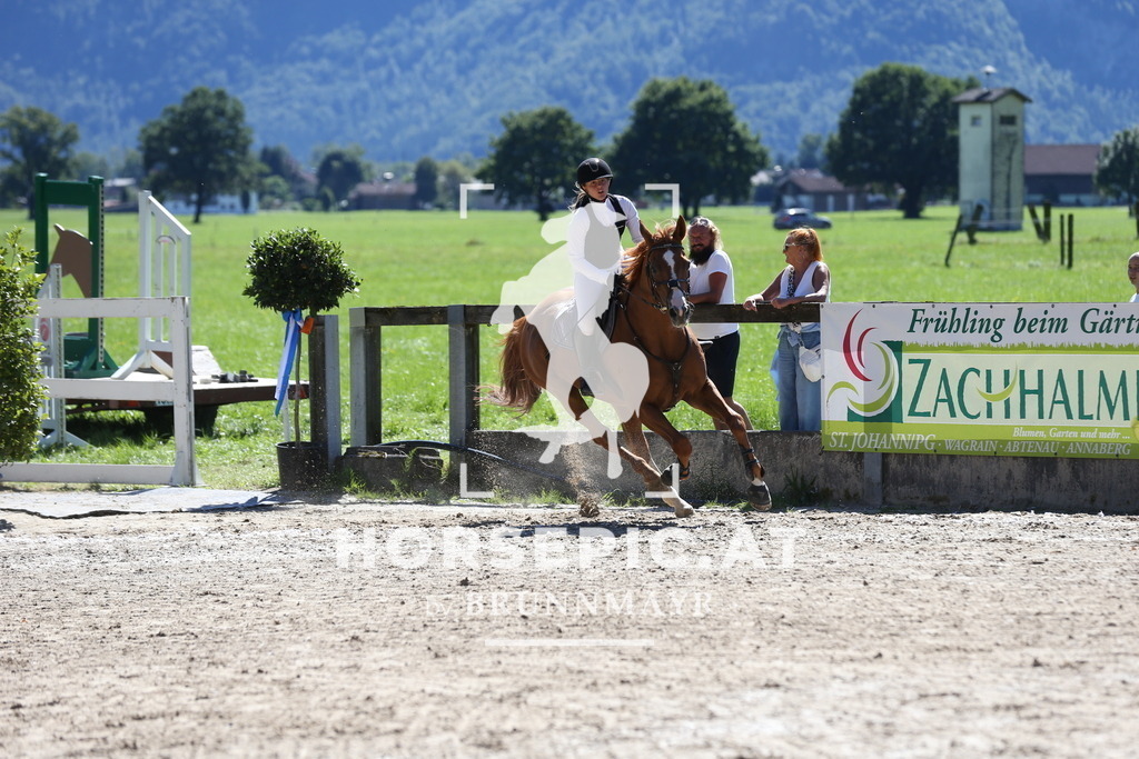 DL2Q0691 | Willkommen bei Brunnmayr - Design & Fotografie – Ihrem Spezialisten für Reitturniere und Pferdeveranstaltungen in Oberösterreich, Salzburg und Bayern! Seit über 17 Jahren sind wir leidenschaftlich dabei.