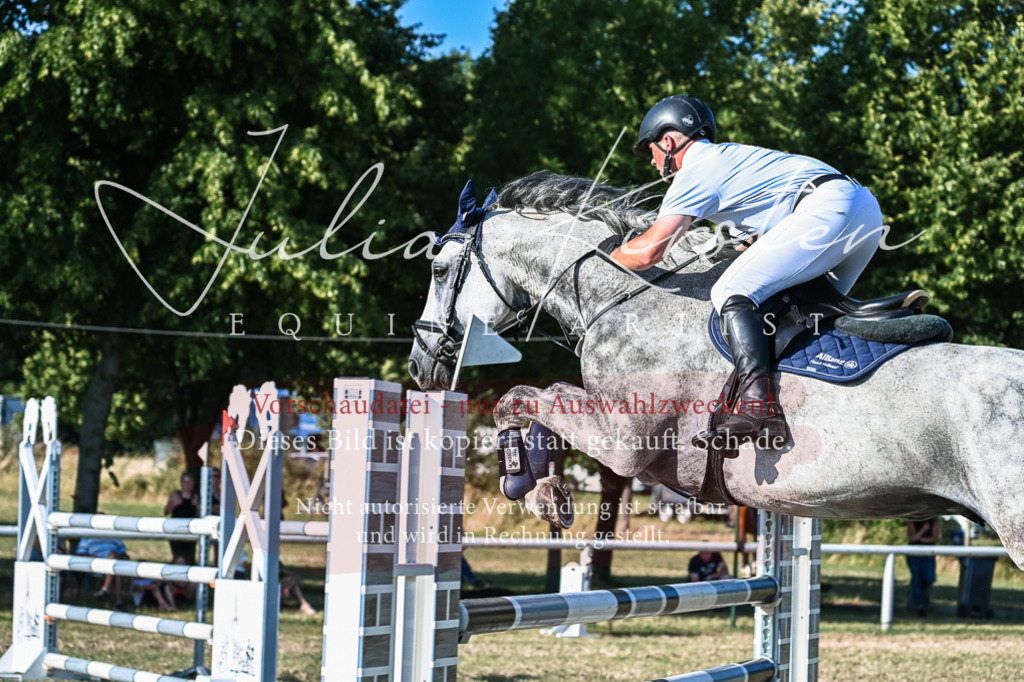 DSC_2805 | Pferde- und Turnierfotografie in Westsachsen. Pferdeportraits, Auftragszeichnungen und intuitive Kunst.