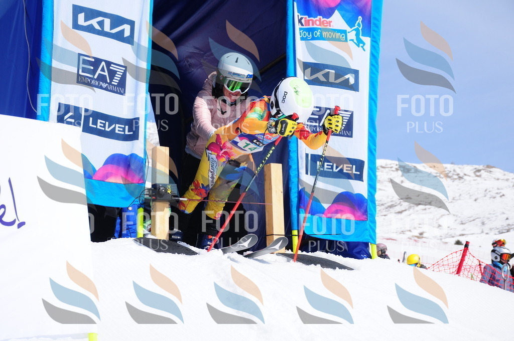 DSC_1266 | holidayphoto