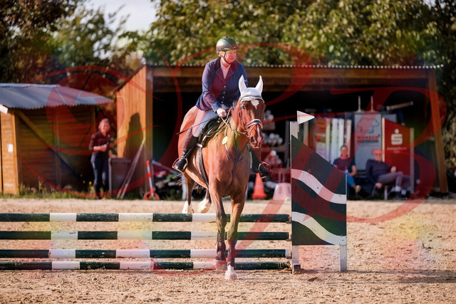 2026_10_03_Siefer-Hof_160637_Z81_88392905 | Professionelle Reitsport-, Turnier- und Eventfotografie von Robert Broda. Galerien mit ausgewählten und bearbeiteten Bildern direkt online ansehen und bestellen.