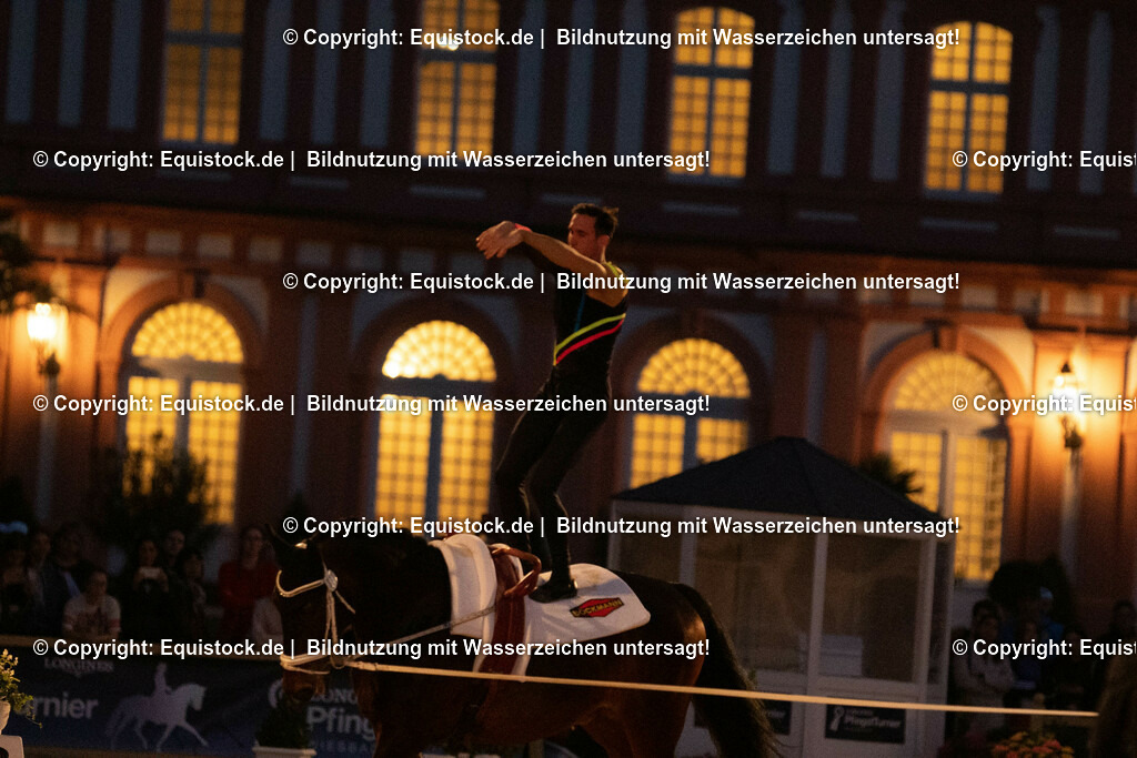 20230527_Voltigieren_NASPA_Flutlicht_0670 | equistock