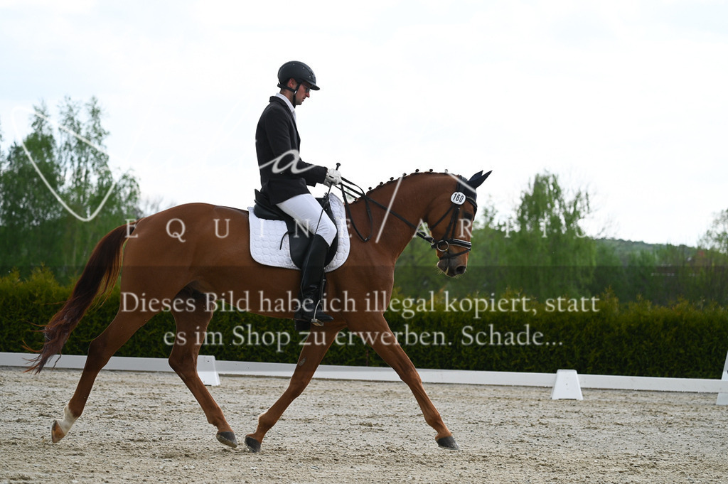 20230512_JK-Röhrsdorf-03-048 | Pferde- und Turnierfotografie in Westsachsen. Pferdeportraits, Auftragszeichnungen und intuitive Kunst.