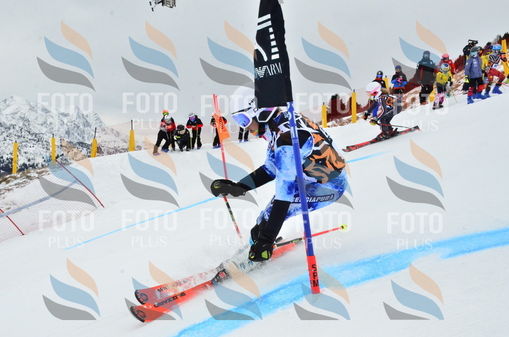 _ELE3361 | holidayphoto