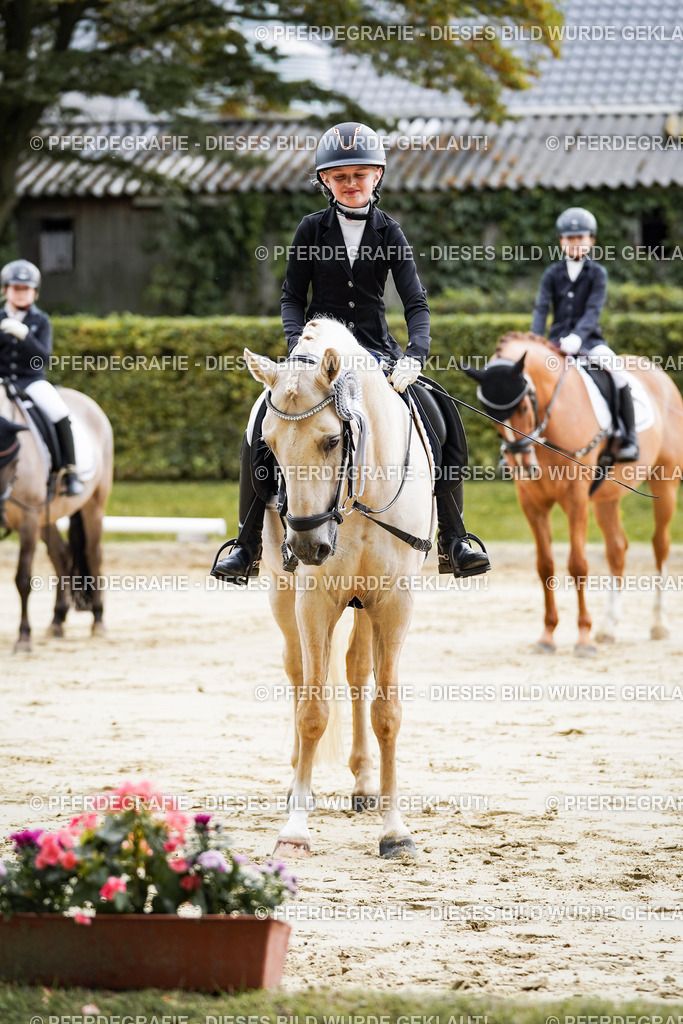 DSC05733 | Pferdegrafie