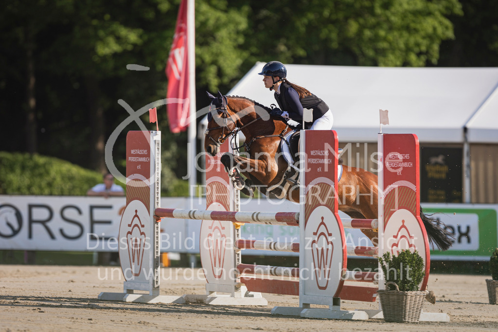 250501_MünsterHandorf_PonyTrophy-230 | Deine schönsten Turniermomente als professionelle Fotos! Entdecke hochwertige Pferdesport-Fotografie im Online-Shop. Jetzt Fotos finden & bestellen!