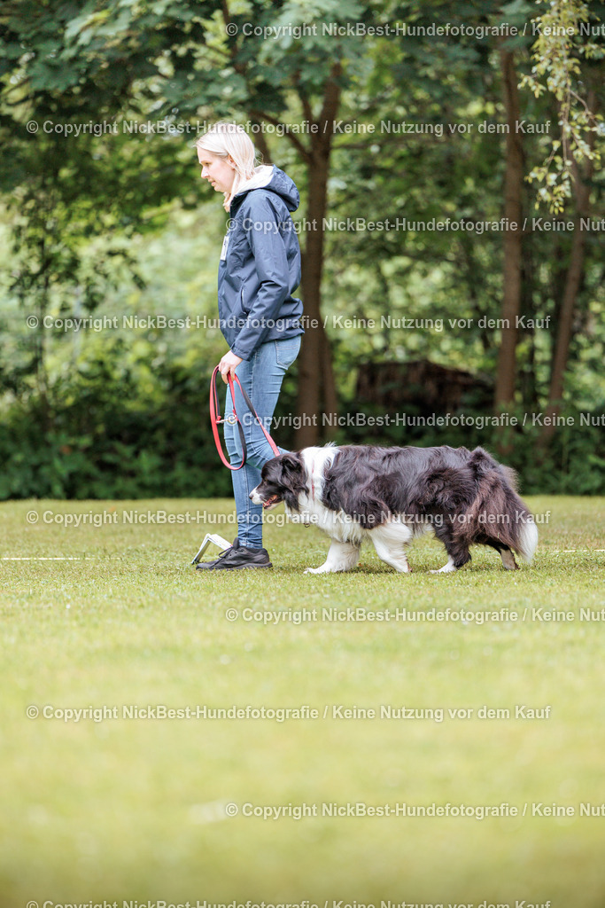 RO-Blumenthal-2026-Nickbest-Hundefotografie-5151 | Dein Hund! Dein Moment! Deine Erinnerungen! Hundefotografie in Bremen Blumenthal. Ich fange die besonderen Momente deines Vierbeiners ein – ob Indoor mit Blitzanlage oder in der freien Natur. Sicher dir dein Moment und dein Termin für eure Erinnerungen.