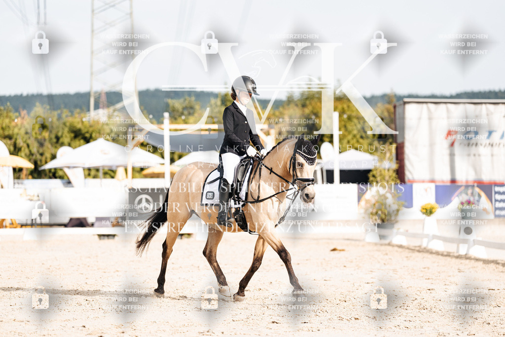 CK904167 | Turnierfotografie Pferdefotografie Trier Rheinland-Pfalz Pferdesport Reitsport Tierfotografie Sportfotografie Pferdevideo Pferdevideografie Equestrianvideography equestrianphotography  - Realisiert mit Pictrs.com