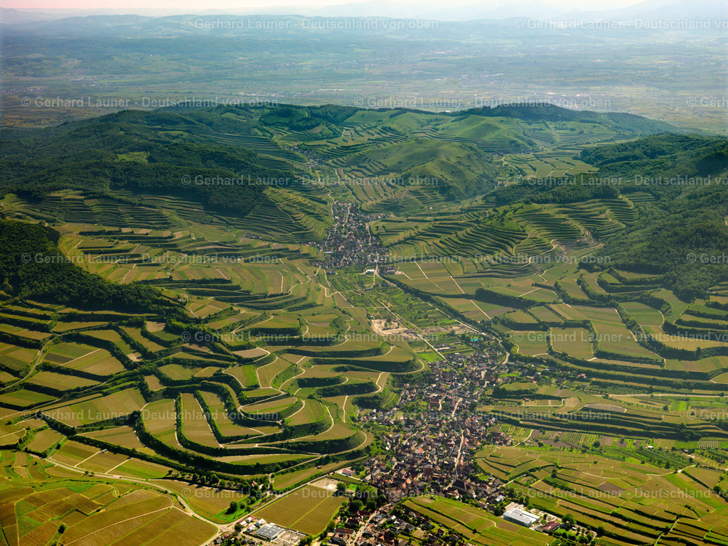 3096277 | Blick von Vogtsburg im Kaiserstuhl über den Kaiserstuhl in Richtung Nordosten