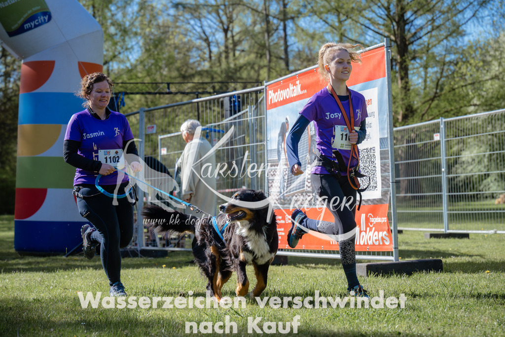 0959_ZZ94257 | kk-dogfotos