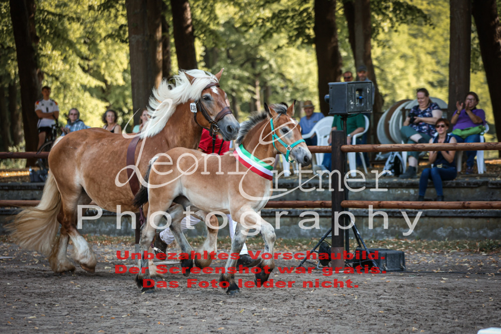 FrKHF00093 | Leoni Ertmer Photography - Realisiert mit Pictrs.com