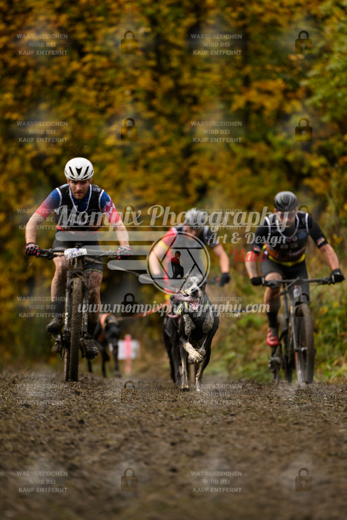 MompixPhotography_ICF_WC_2024_SA_Bike_-29 | PayLife