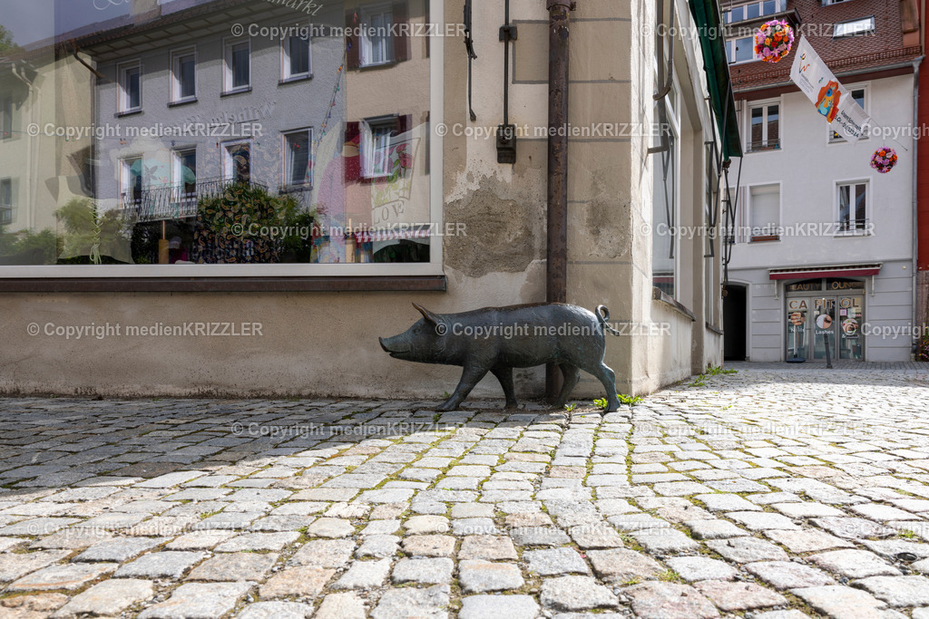 _J3A5366 | medienkrizzler - Realisiert mit Pictrs.com