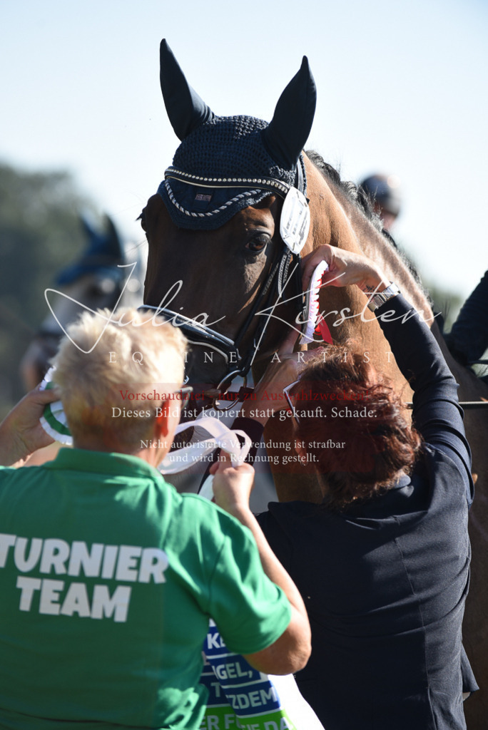DSC_5461 | Pferde- und Turnierfotografie in Westsachsen. Pferdeportraits, Auftragszeichnungen und intuitive Kunst.