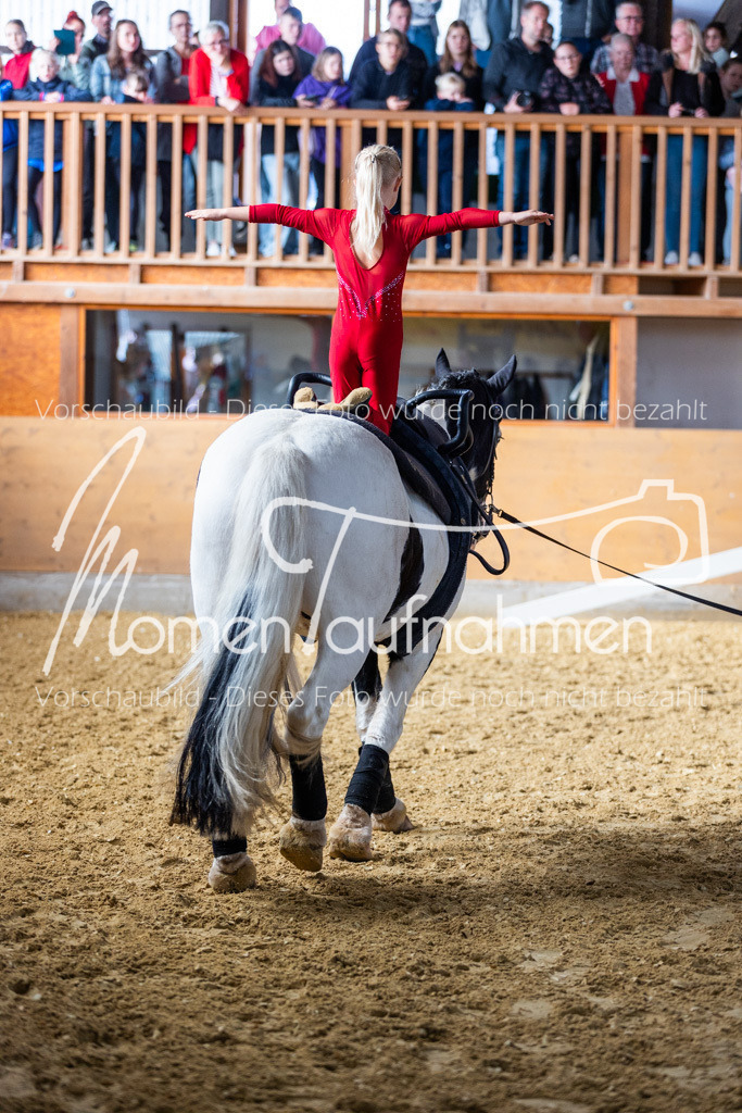 SS-Mini-191 | MomenTaufnahmen Pferdesportfotos