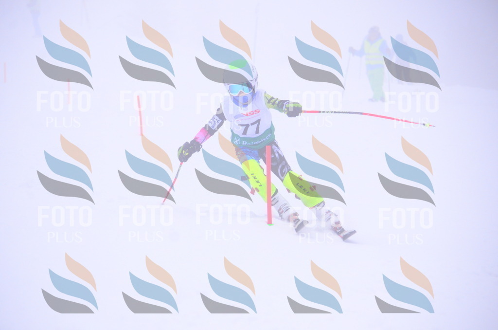 A4289 | holidayphoto