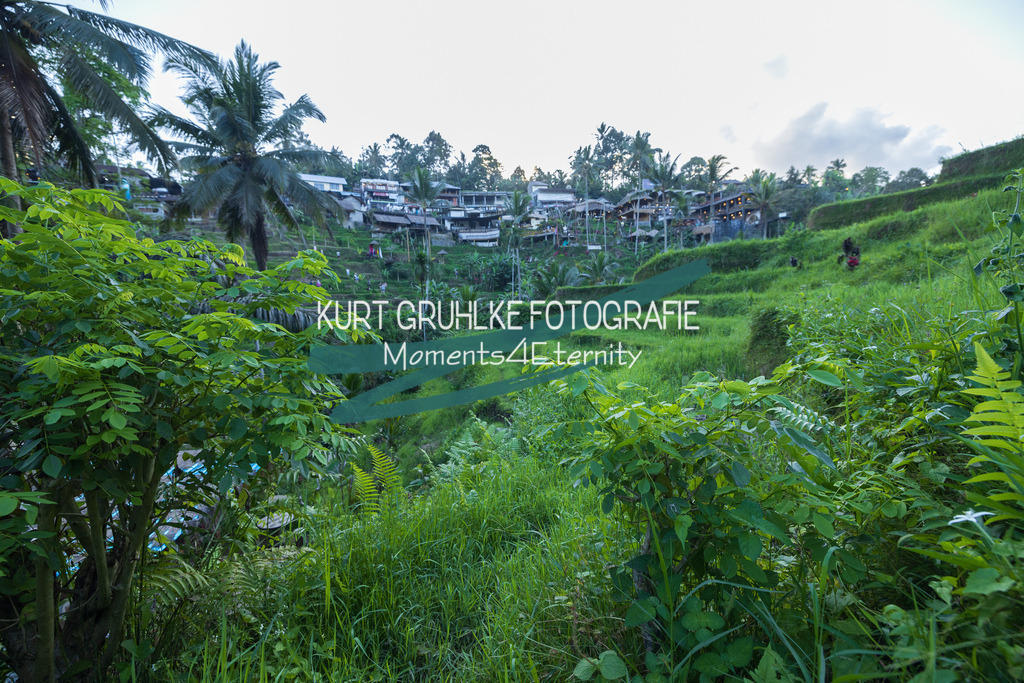 230720-1431 | onlinegalerie und Fotoshop Kurt Gruhlke Fotograf Berlin
Hochzeitsfotograf Eventfotograf Portraitfotografie
 - Realisiert mit Pictrs.com