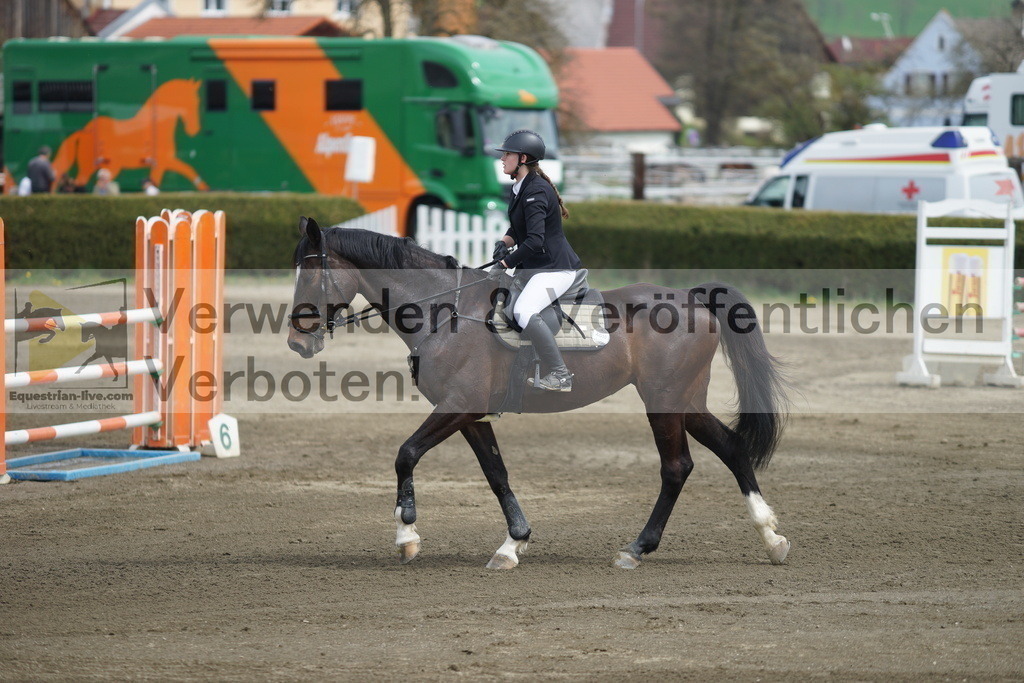 DSC04356 | equestrian-live-com