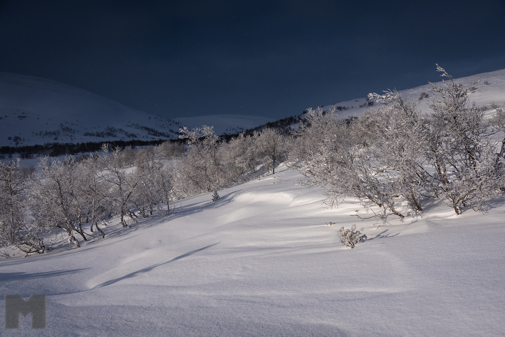 Schneeschauer über Andersborg | Landschafts- und Tierfotografie zu allen Jahreszeiten. Und immer die Schönheit des Lichtes im Auge... - Realisiert mit Pictrs.com