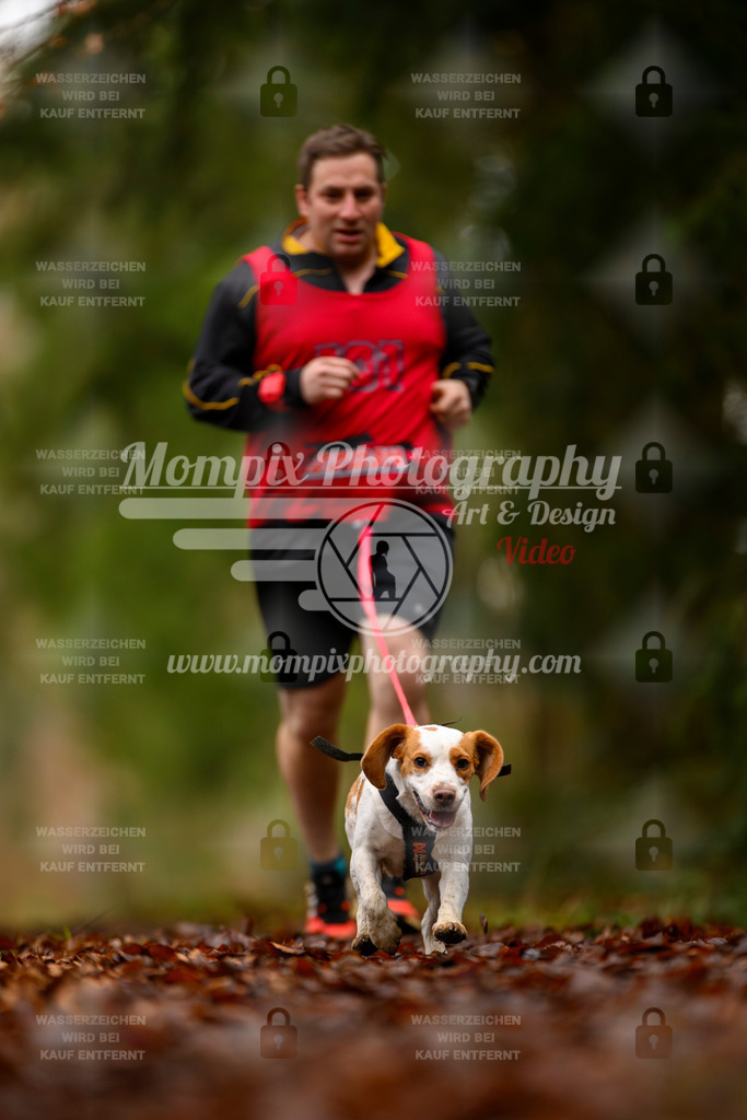 MompixPhotography_2SSTSSBW_2025_SO_Canicross-59 | PayLife