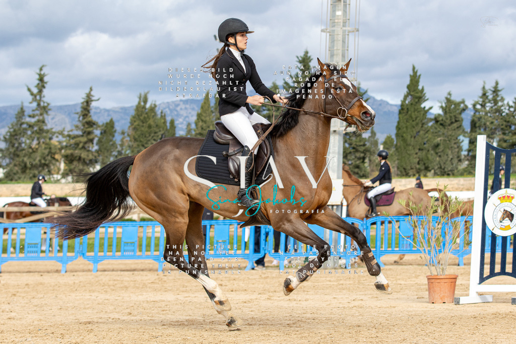 IMG_3239 | s-jay-photography - Realisiert mit Pictrs.com