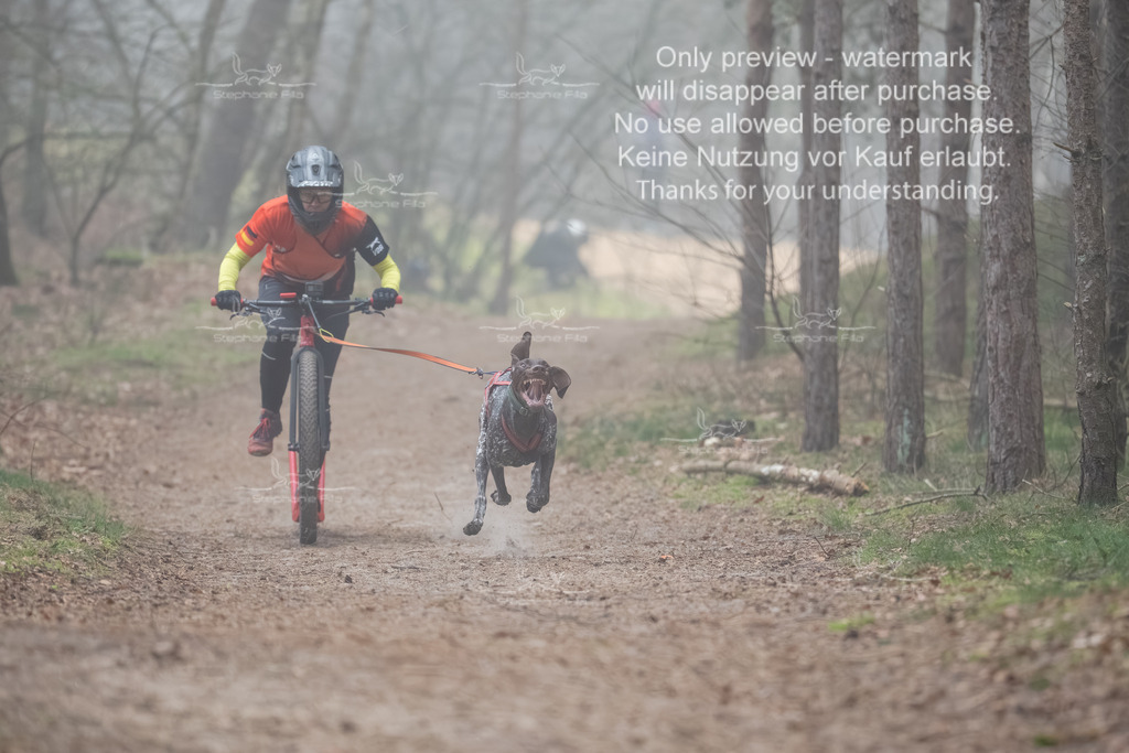 Scooter1-20 | stephaniefillaphotographie - Realisiert mit Pictrs.com