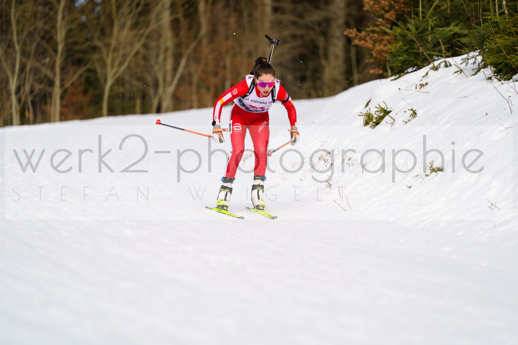 FESA Alpencup / DP Notschrei | Deutschland Pokal Finale im Schwarzwald NORDIC-CENTER Notschrei am 7. - 8. Februar 2026