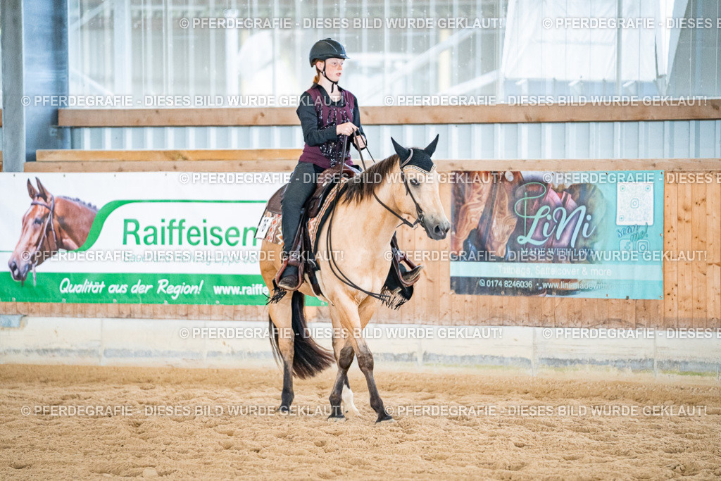 DSC02693 | Pferdegrafie