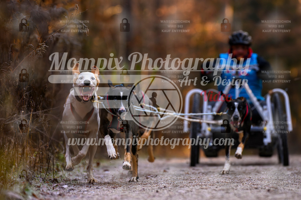 MompixPhotography_DM_AKDM_SO_2025_Wagen-68 | PayLife