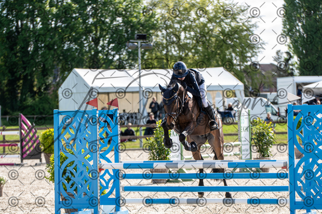 KPT_4625 | andre_photographic