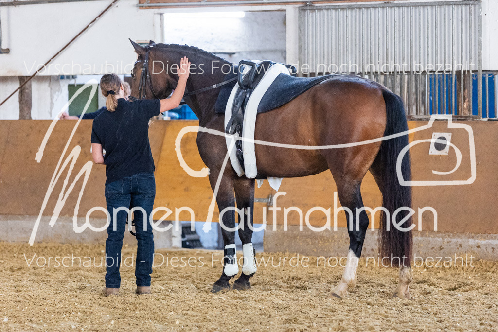 VTD-Voltigierpferde-066 | MomenTaufnahmen Pferdesportfotos