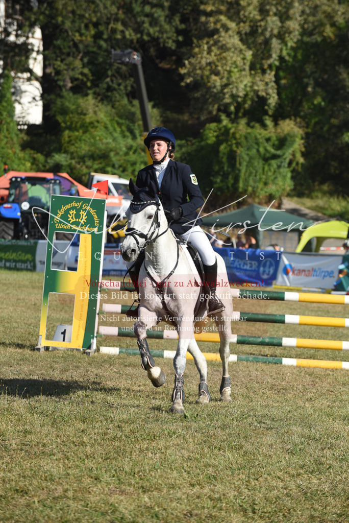 DSC_5317 | Pferde- und Turnierfotografie in Westsachsen. Pferdeportraits, Auftragszeichnungen und intuitive Kunst.