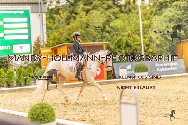 28-8-26 5j DRE-562 | mandyhollmannphotographie